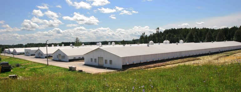 Krikštonių Kiaulių komplekso rekonstrukcija